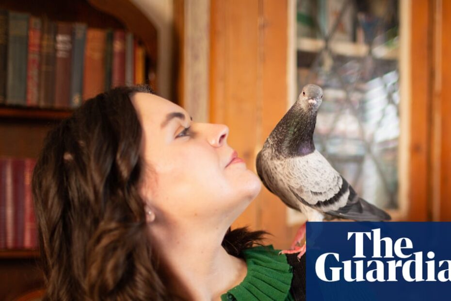 นกพิราบเพนนี