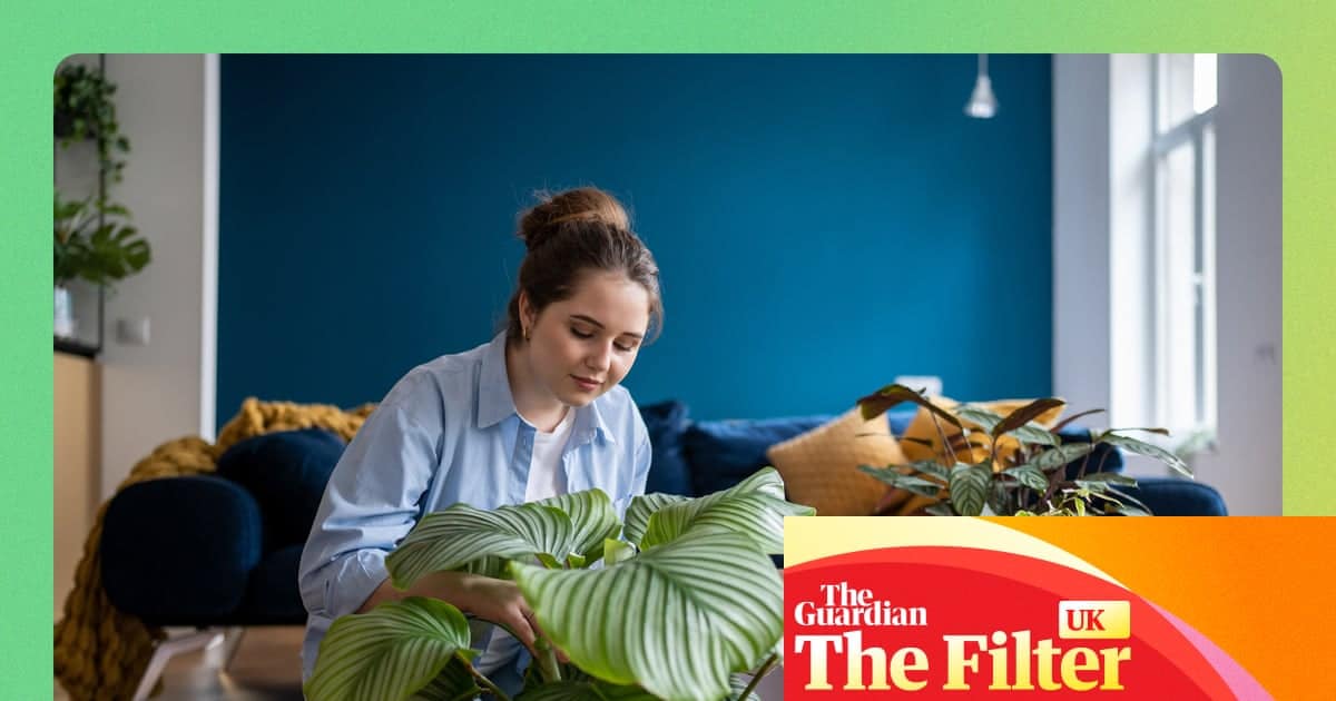 ร้านต้นไม้ออนไลน์