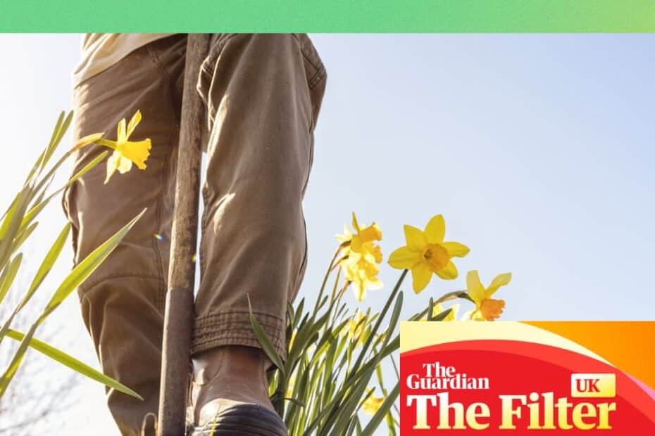 จัดสวนฤดูใบไม้ผลิ