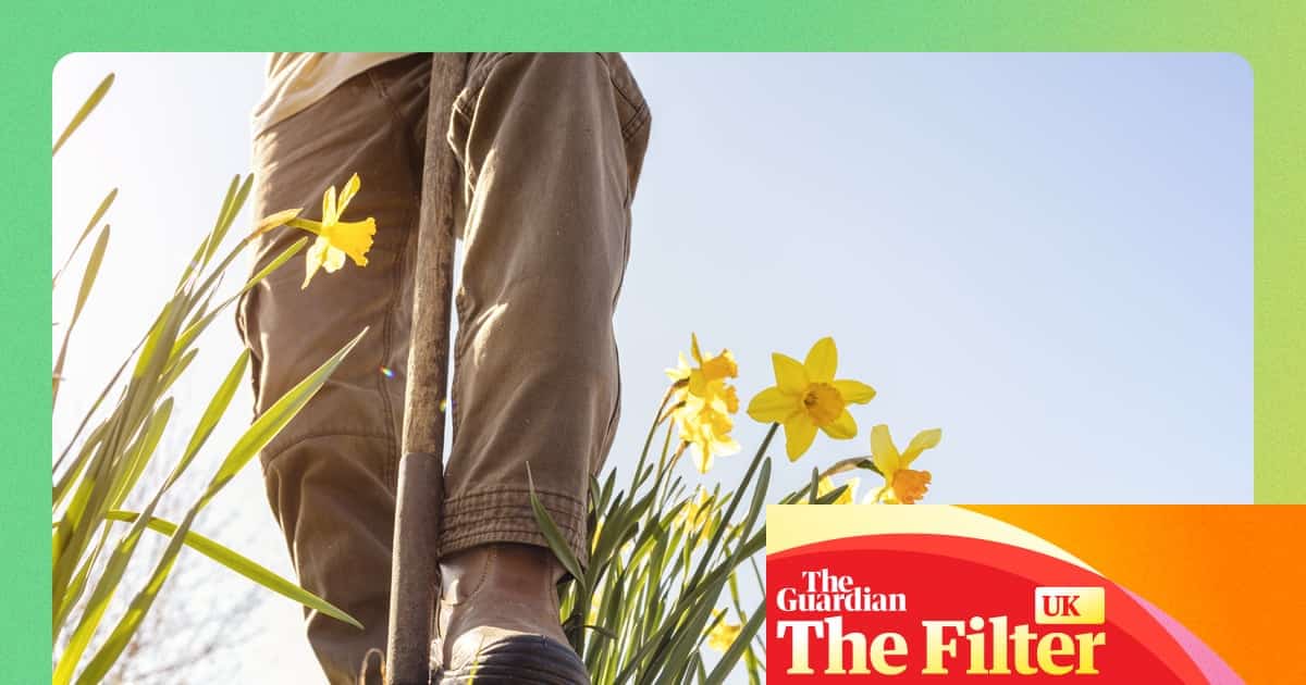 จัดสวนฤดูใบไม้ผลิ