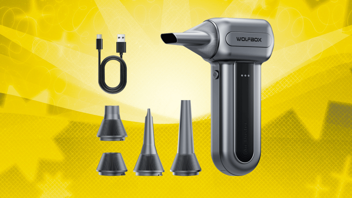 เครื่องเป่าฝุ่นไฟฟ้า