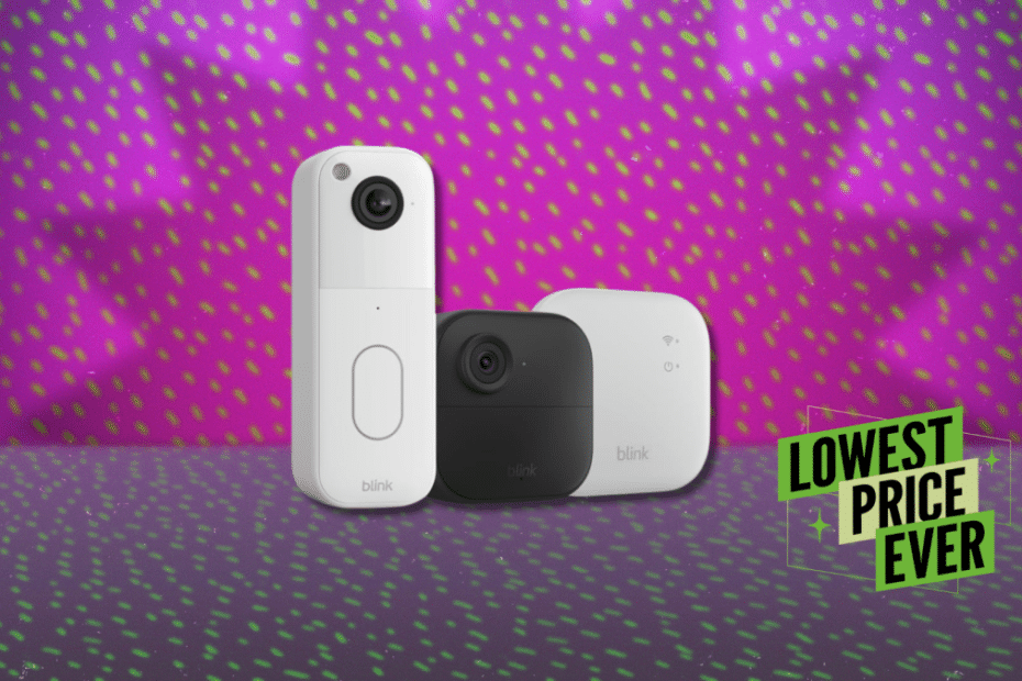 ระบบรักษาความปลอดภัย Blink