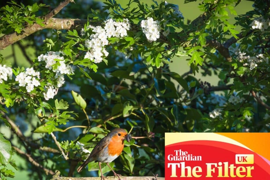 สวนสัตว์ป่า