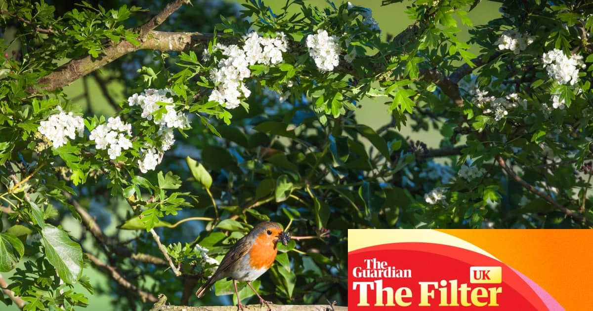 สวนสัตว์ป่า