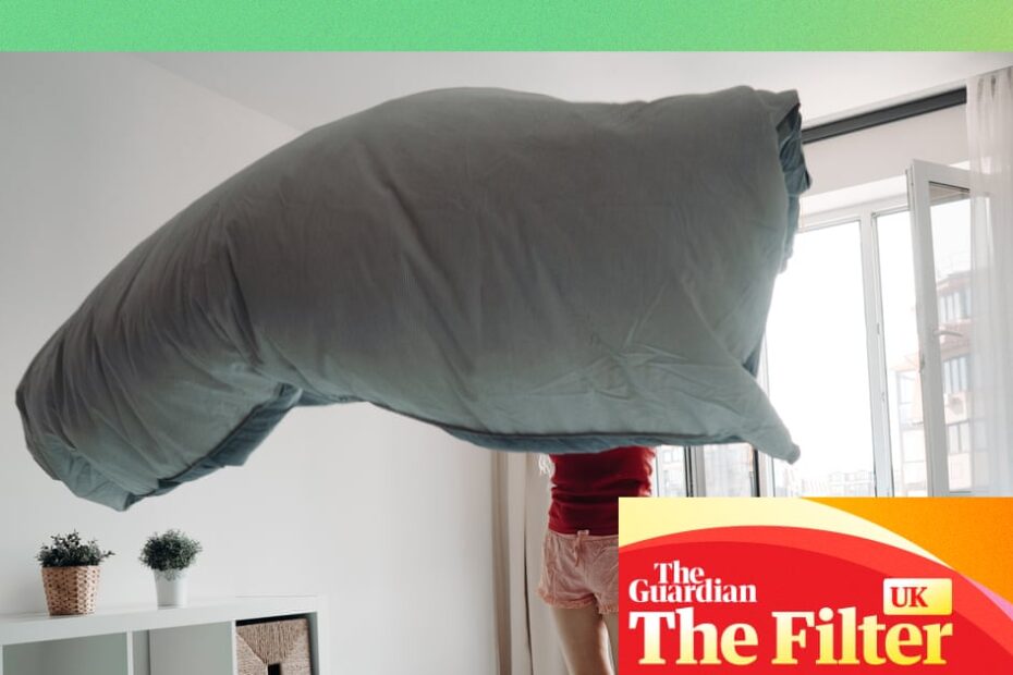 ทำความสะอาดที่นอน