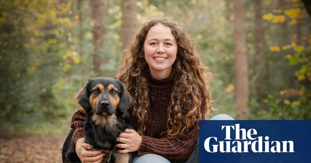 สุนัขแพดดิงตัน