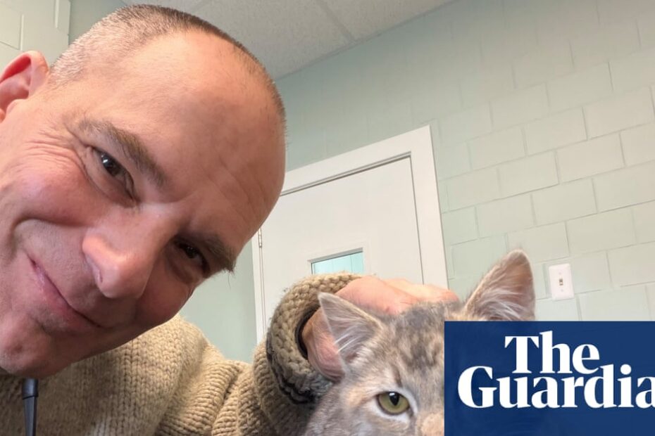 ช่วยชีวิตลูกแมว