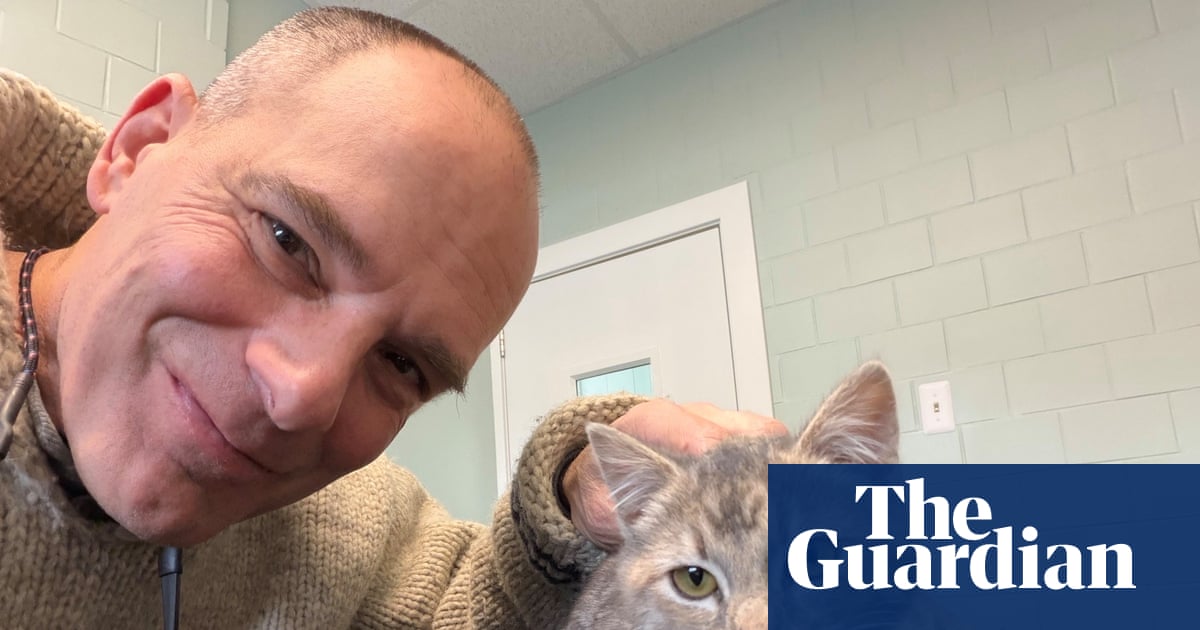 ช่วยชีวิตลูกแมว