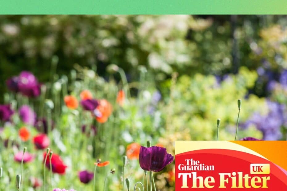 เตรียมสวน