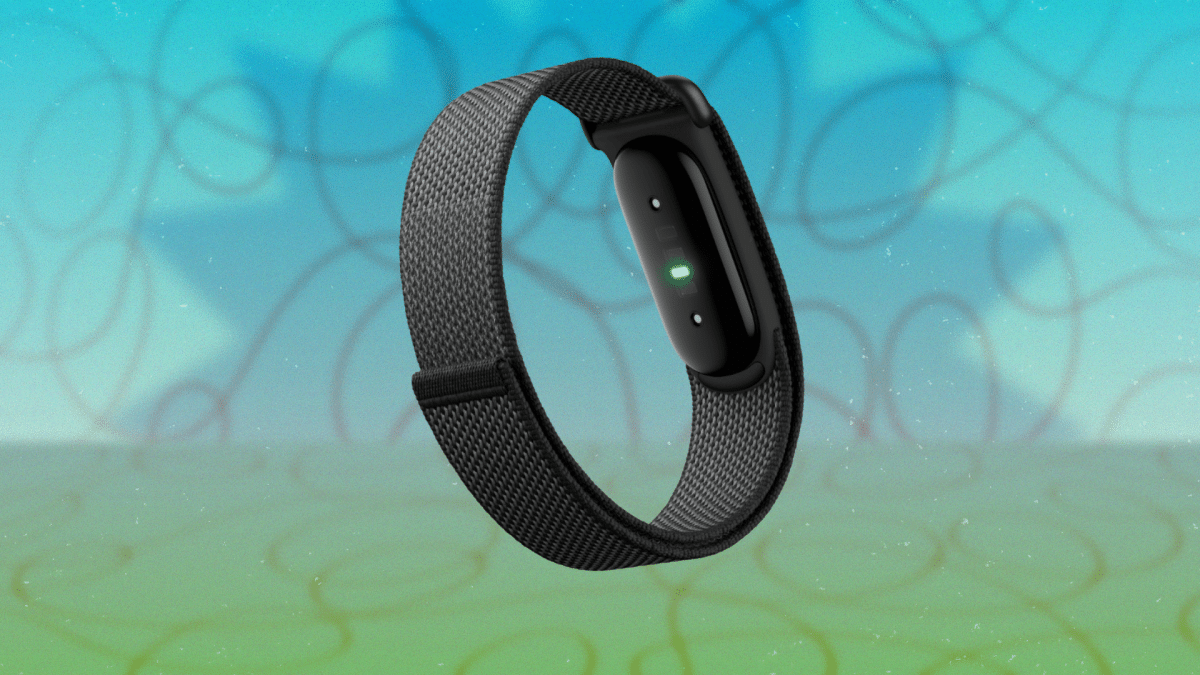 Google Fitbit Air