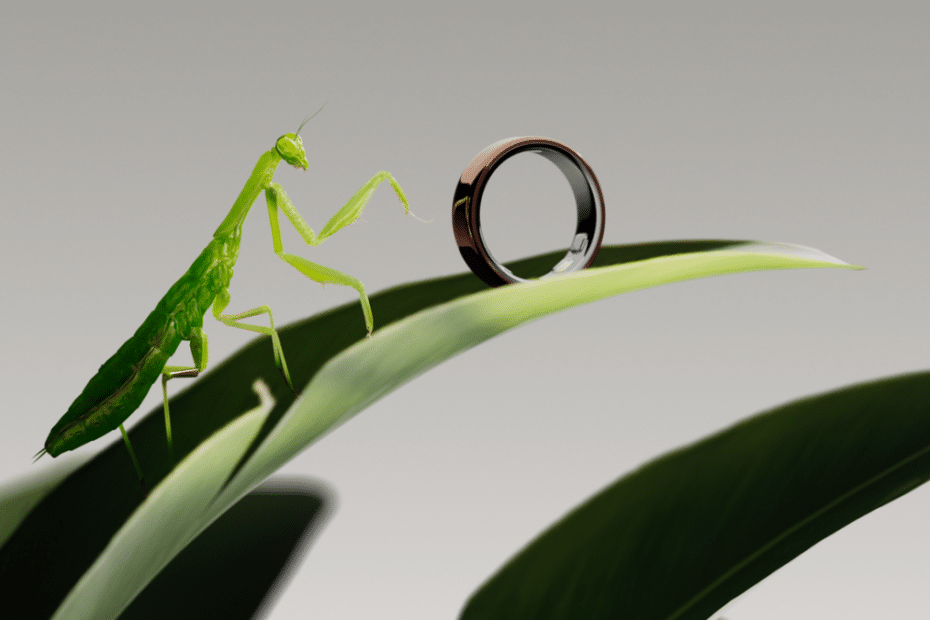 Oura Ring 5