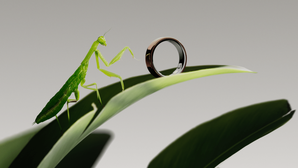 Oura Ring 5