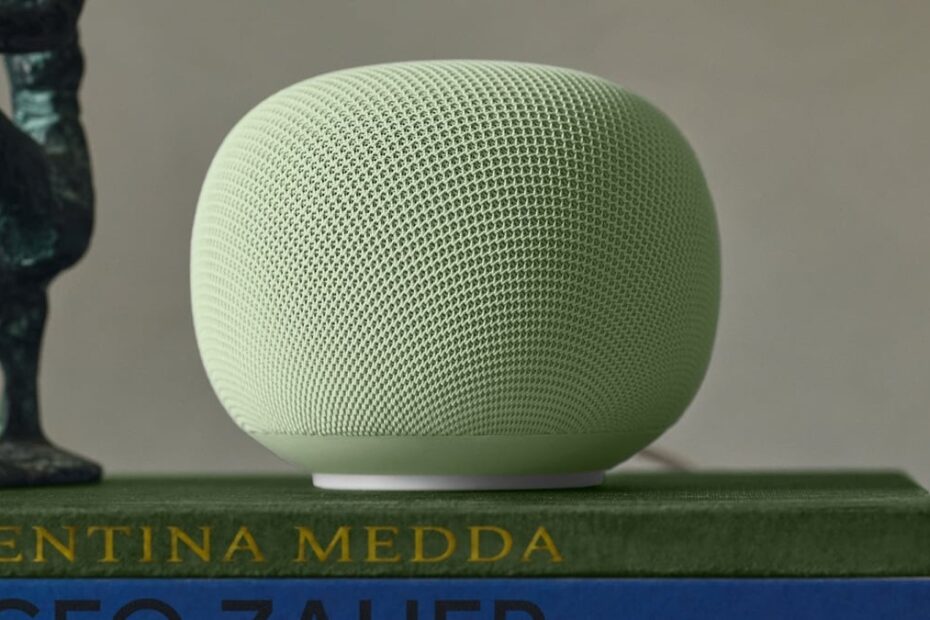 ลำโพง Google Home