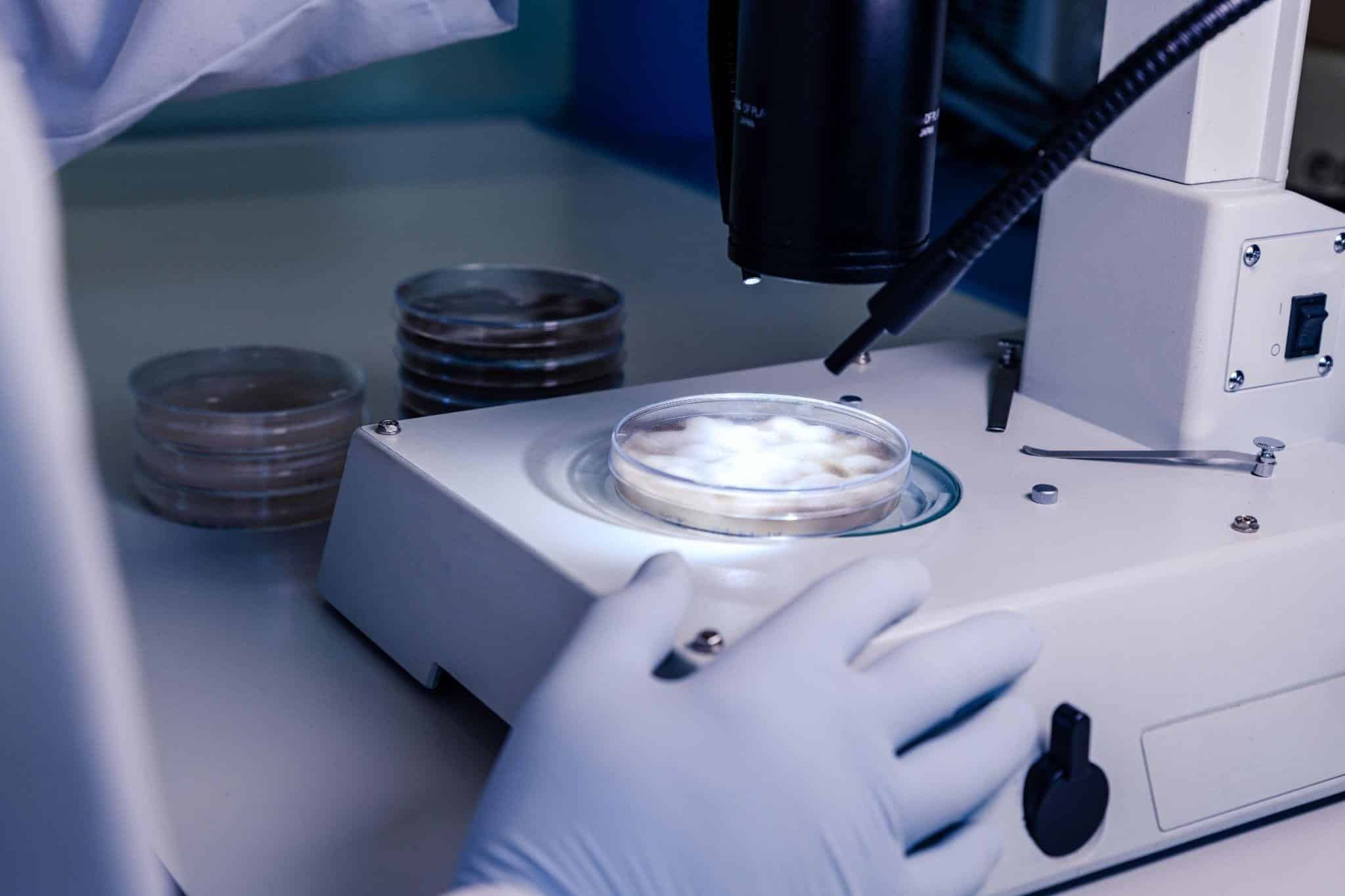แช่แข็งตัวอ่อน สำคัญอย่างไรในการทำเด็กหลอดแก้ว (IVF)