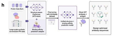 Figure 5 | Aureka’s workflow for the AIntibody challenges Figure 5 | Aureka’s workflow for the AIntibody challenges